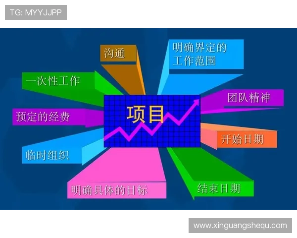 亚星正网合作项目管理中的关键要素与成功经验总结