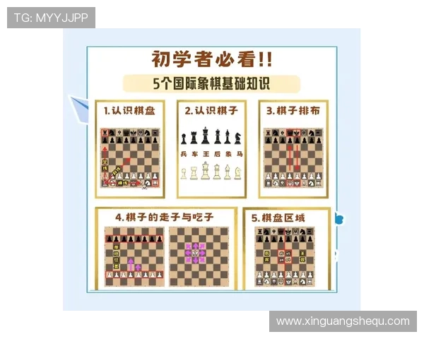 亚星游戏新手入门指南快速掌握基础操作与玩法技巧