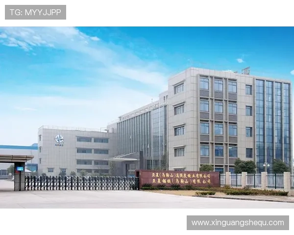 亚星锚链马鞍山公司企业网站流量分析与数据监控实现精准营销与客户转化