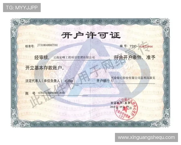 新手必看亚星代理开户详细步骤与操作指南