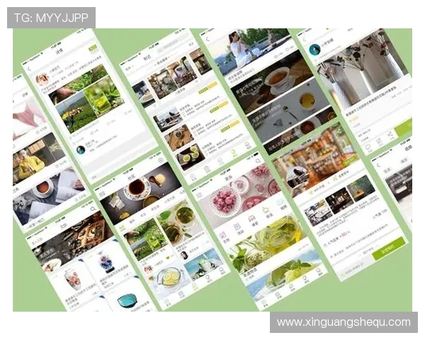 深入了解亚星国际app的操作界面与使用指南