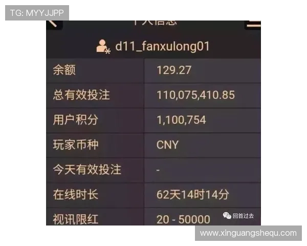深入剖析AG百家乐技巧中的关键要素实现持续赢利的实用技巧